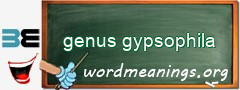 WordMeaning blackboard for genus gypsophila